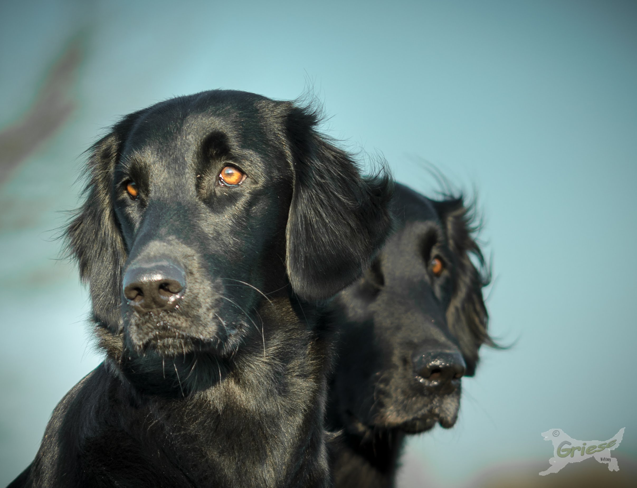 Mama Luzi mit Tochter Skadi
